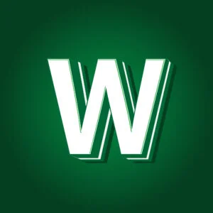 3D Letter W Green Color Design