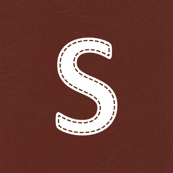 Letter S Stitched Design