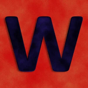 Letter W Velvet Design