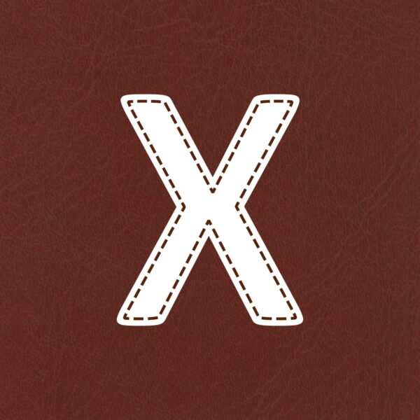 Letter X Stitched Design