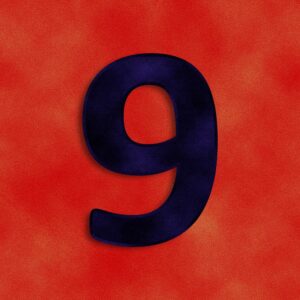 Number Nine Velvet Design