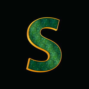 Green Letter S With Gold Border