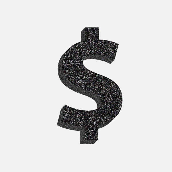 Dollar Symbol Stone Design
